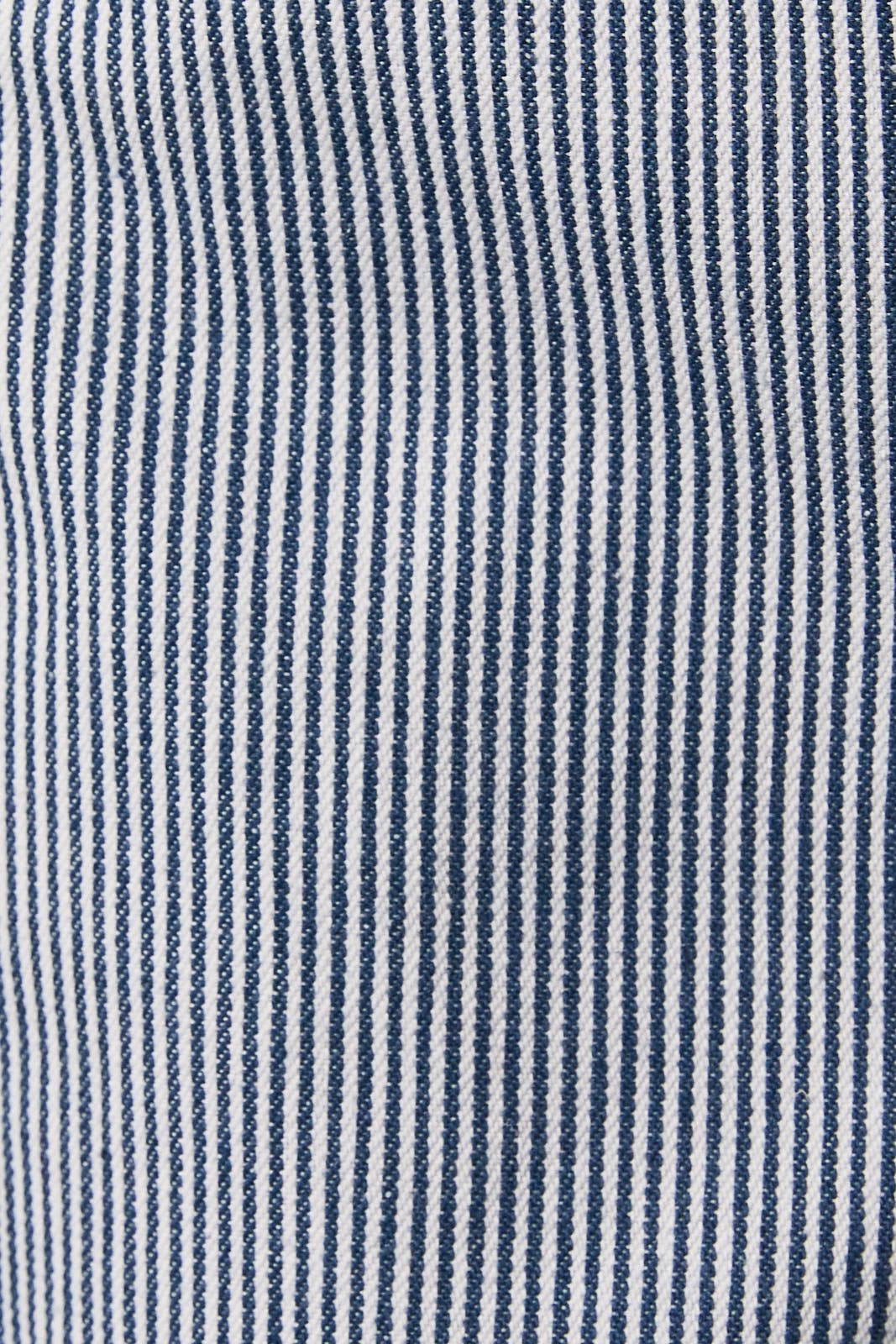 2062 Stripe Denim Shorts