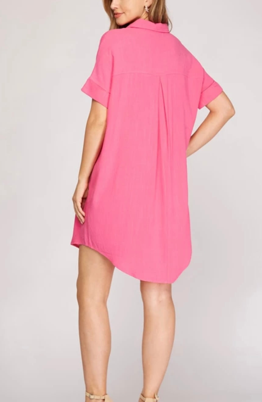 1309 Collar Dress