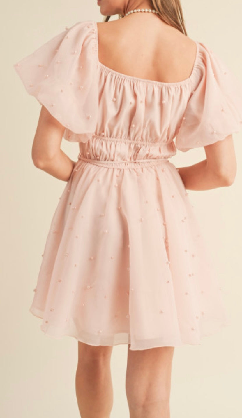 1356 Night To Remember Mini Dress