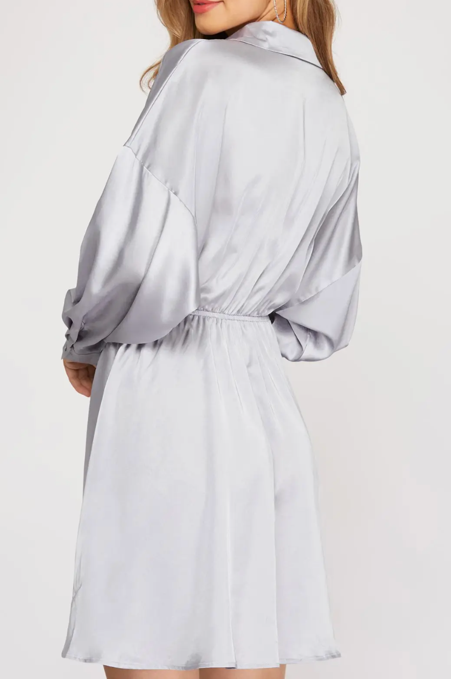 1799 Collared Mini Dress