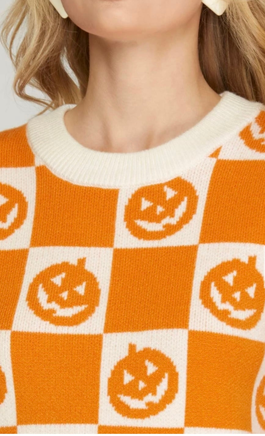 1565 Pumpkin Sweater Top