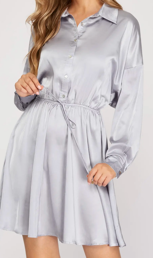 1799 Collared Mini Dress