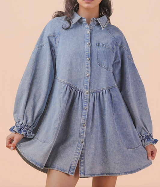 1824 Denim Mini Dress