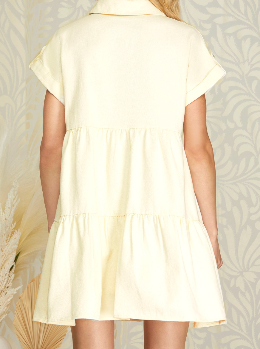 1738 Button Down Dress