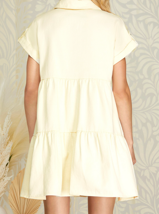 1738 Button Down Dress
