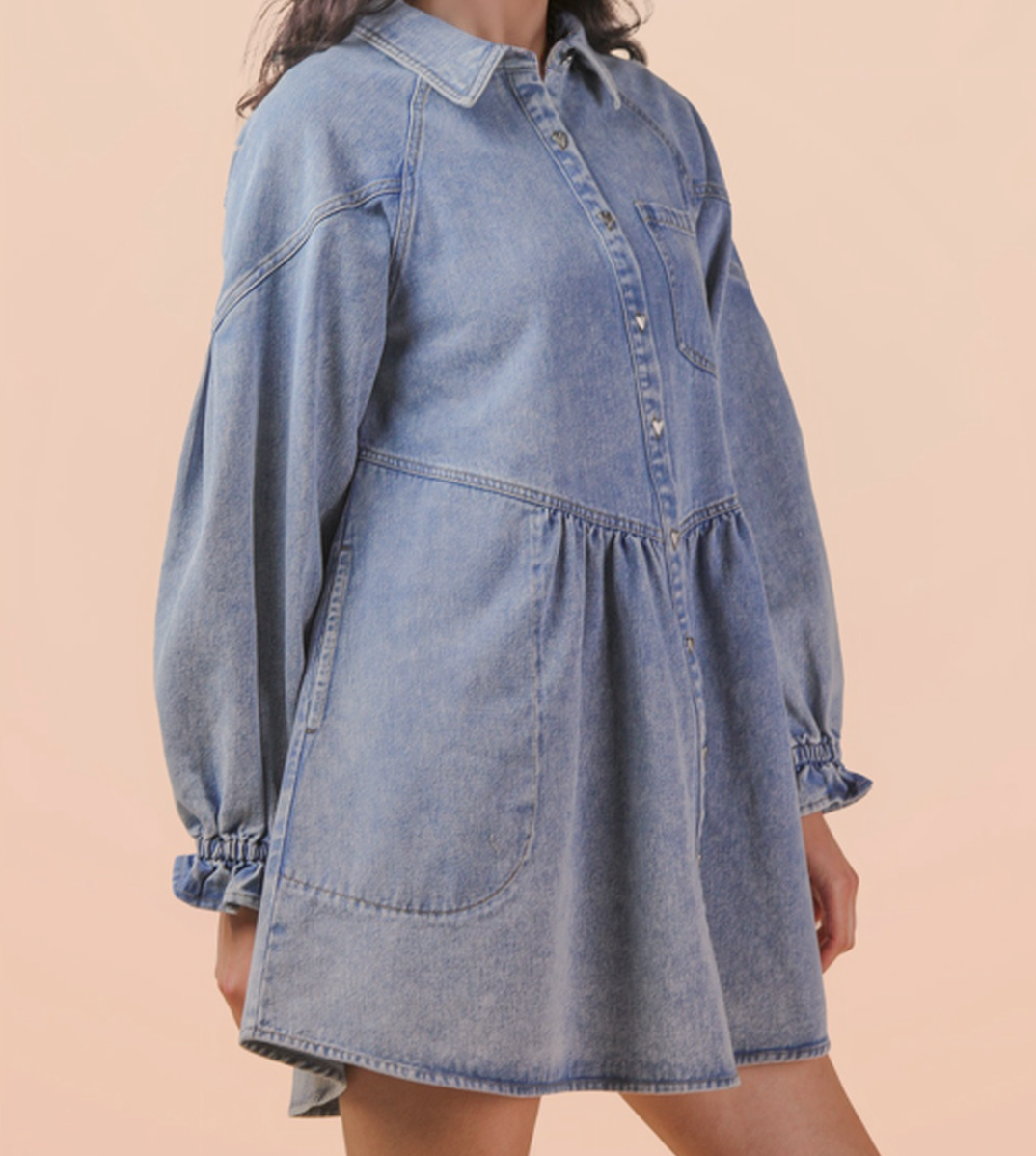 1824 Denim Mini Dress