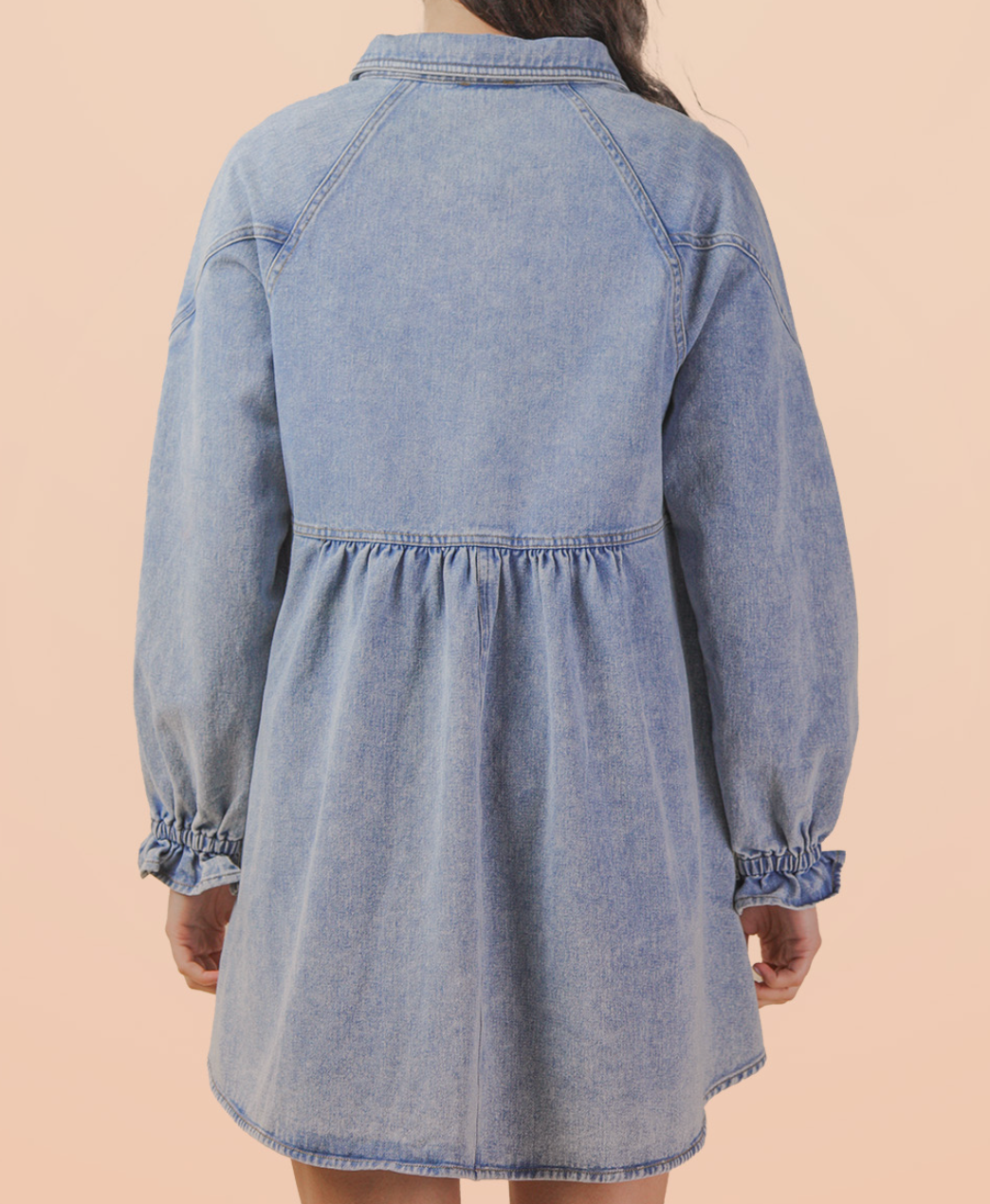 1824 Denim Mini Dress
